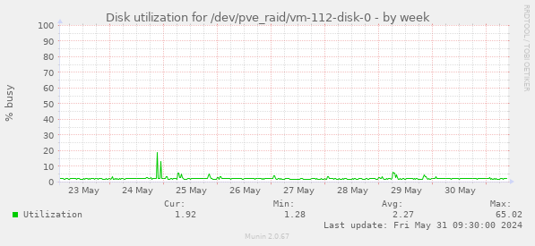 Disk utilization for /dev/pve_raid/vm-112-disk-0