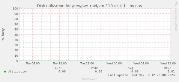 Disk utilization for /dev/pve_raid/vm-110-disk-1
